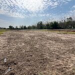 Taman Cinta Lagenda - Site Update (6 Februari 2025)