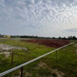 Taman Cinta Lagenda - Site Update (6 Februari 2025)