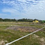 Taman Cinta Lagenda - Site Update (6 Februari 2025)