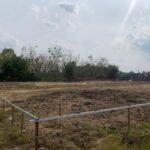 Taman Cinta Lagenda - Site Update (16 Februari 2025)