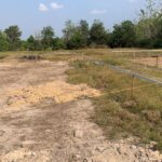 Taman Cinta Lagenda - Site Update (16 Februari 2025)