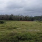 Taman Cinta Lagenda - Site Update (18 Januari 2025)