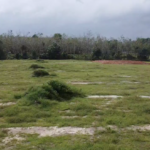 Taman Cinta Lagenda - Site Update (18 Januari 2025)