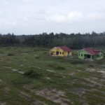 Taman Cinta Lagenda - Site Update (18 Januari 2025)
