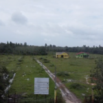 Taman Cinta Lagenda - Site Update (18 Januari 2025)