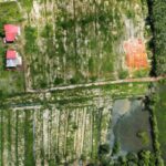 Taman Cinta Lagenda - Site Update (18 Januari 2025)